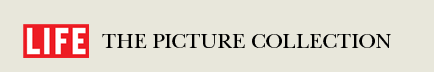 LIFE - The Picture Collection