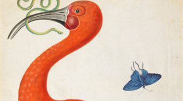 Antiquarian Collection - The British Museum