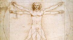 Leonardo Da Vinci Prints and Posters