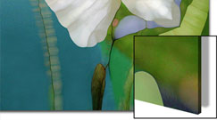 Stretched Canvas Prints Posters and Prints