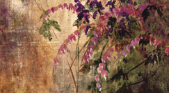 Botanical Posters and Prints