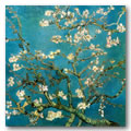 Vincent Van Gogh