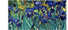 Irises, Saint-Remy, c.1889
