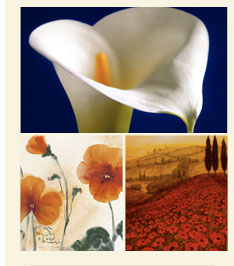 Floral Sale