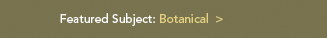 Featured Subject: Botanical