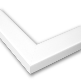 Park White Matte