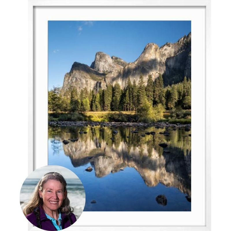 Ann Collins Bio