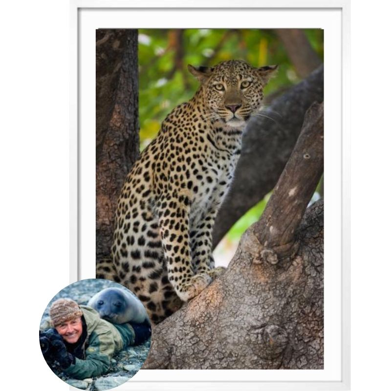 Art Wolfe Bio