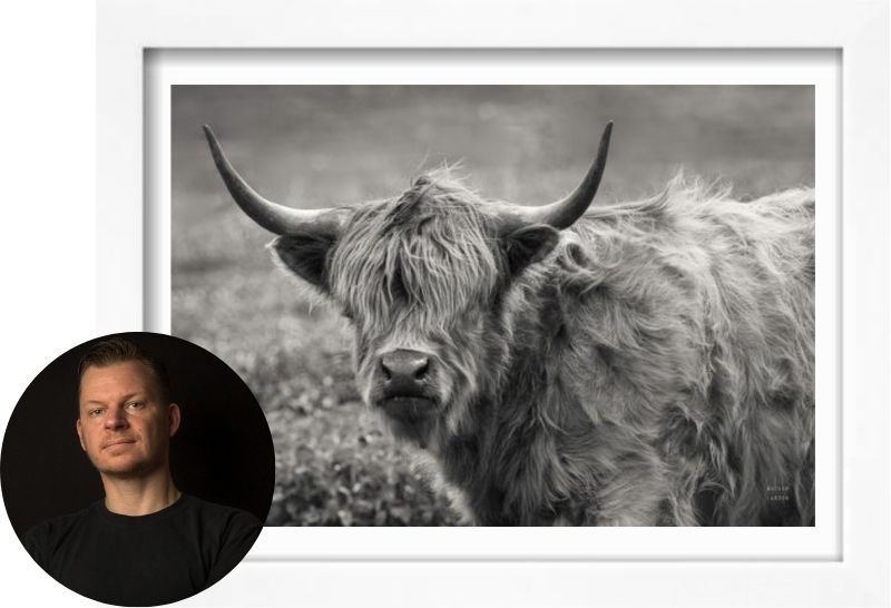 Nathan Larson Bio