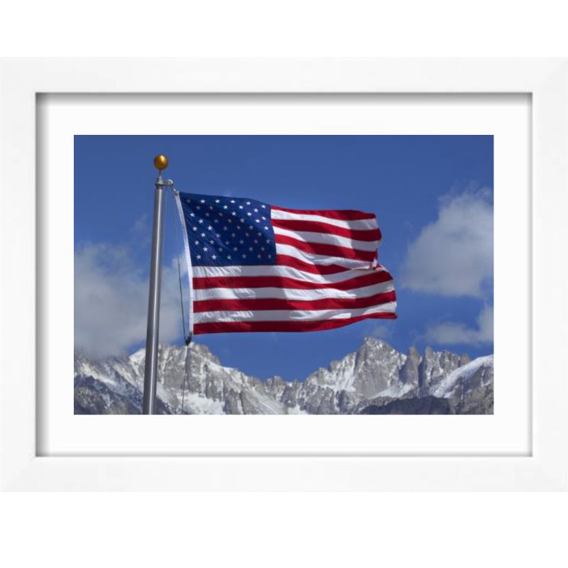 America 250 Bio