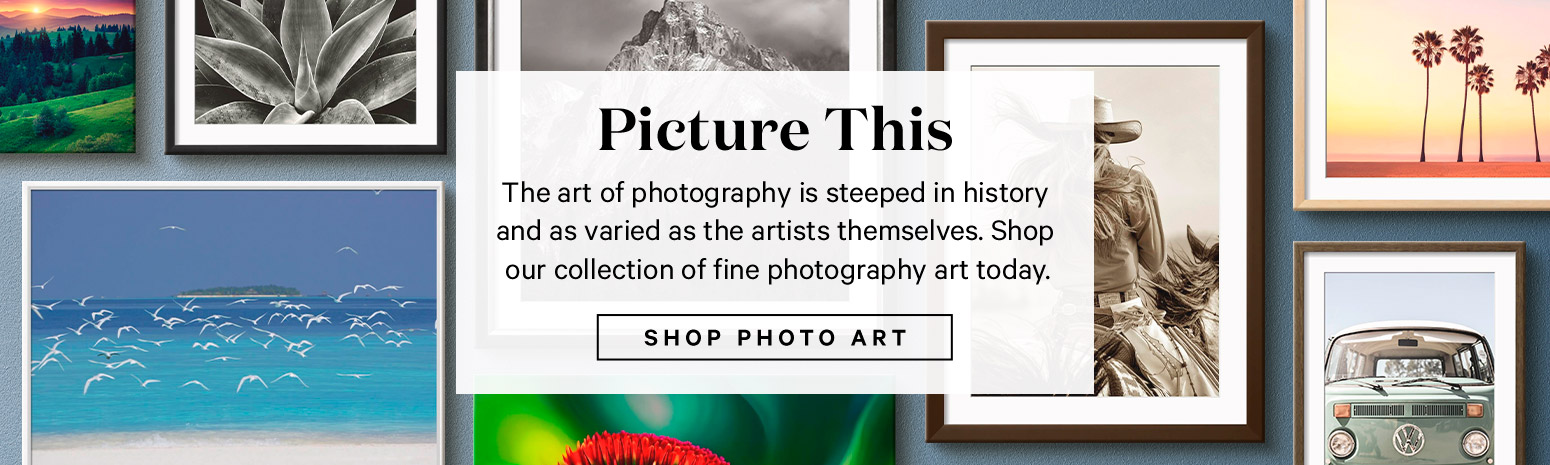 Picture This. The art of photography is steeped in history and as varied as the artists themselves. Shop our collection of fine photography art today. SHOP PHOTO ART.>