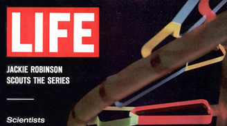 LIFE Magazine Covers Posters and Prints